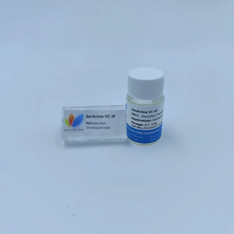 SanActice VC-IP (2)