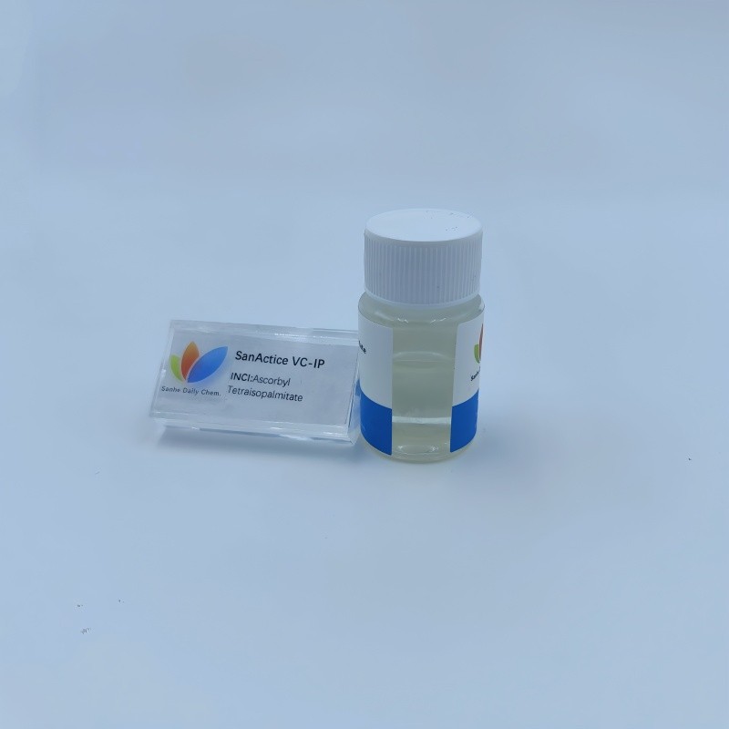 SanActice VC-IP (3)