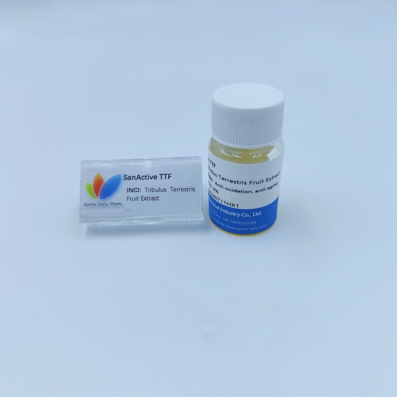 SanActive TTF (3)
